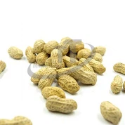 Thức ăn cho chim đậu phộng