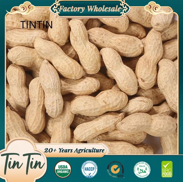 Nhà cung cấp đậu phộng rang Trung Quốc chất lượng cao và chất lượng tốt