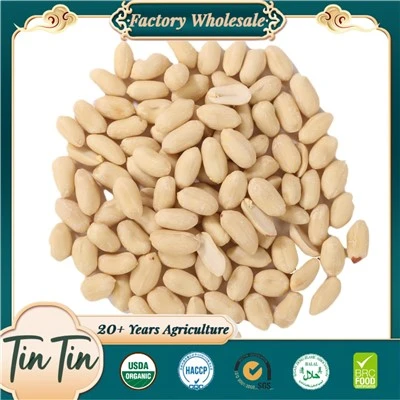 Hạt đậu phộng blanched 25/29 2024 Cây trồng