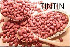 Hạt đậu phộng Trung Quốc