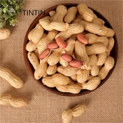 Đậu phộng nguyên vỏ chất lượng tốt 100% tự nhiên