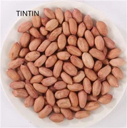 Hạt đậu phộng Trung Quốc chất lượng cao