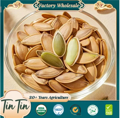 Hạt bí ngô Lady Nail